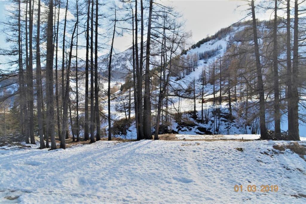 La Foux D'allos 4 Personnes 23m2 Les Etoiles Allos
