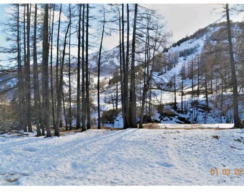 La Foux D'allos 4 Personnes 23m2 Les Etoiles Apartment